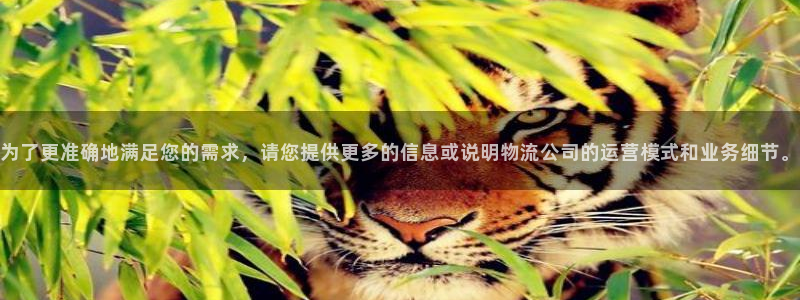 娱乐门徒重生香港