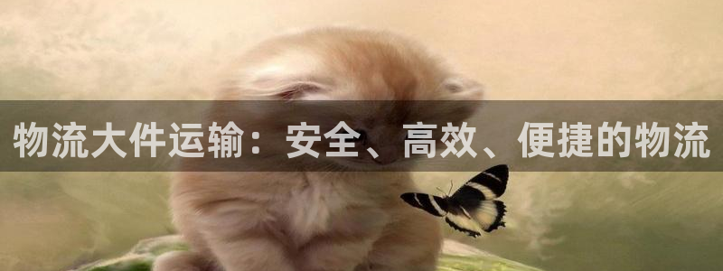 门徒娱乐主管之判官333OO
